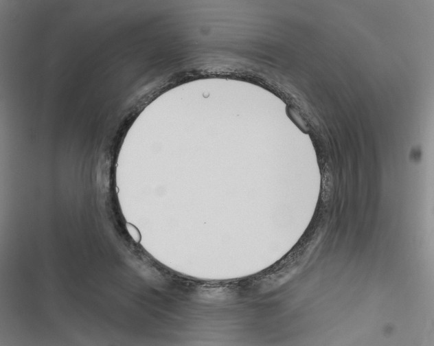 X0000116670454201001251242