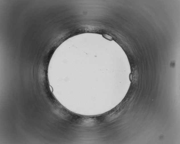 X0000116670456201001251242