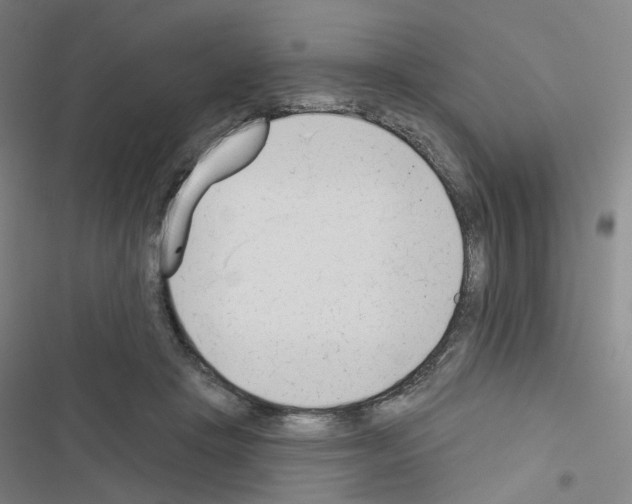 X0000116670457201001251242