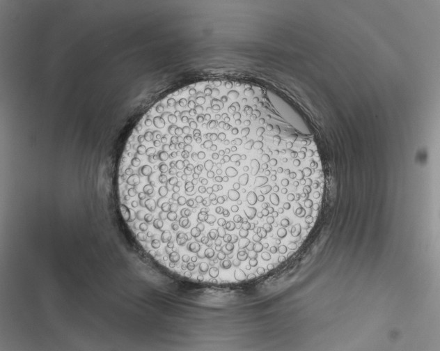 X0000116670458201001251242