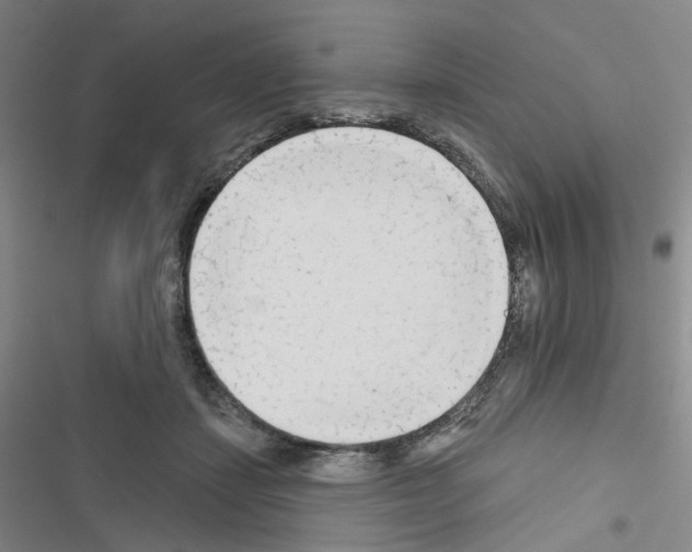 X0000116670459201001251242