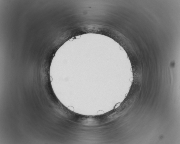X0000116670460201001251242