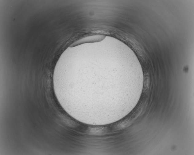 X0000116670461201001251242