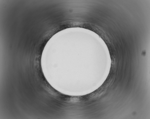 X0000116670462201001251242