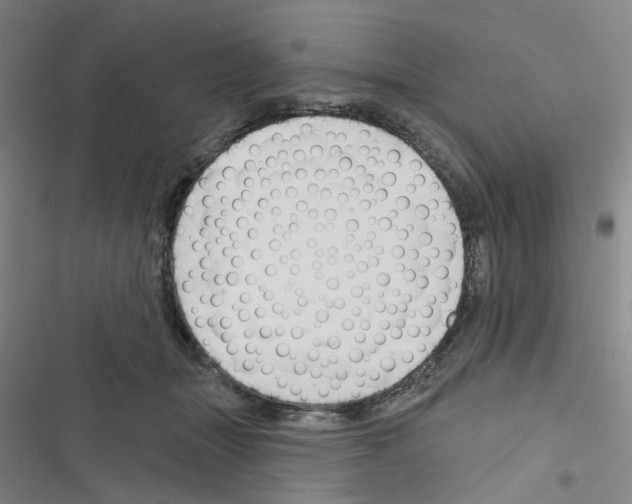 X0000116670463201001251242