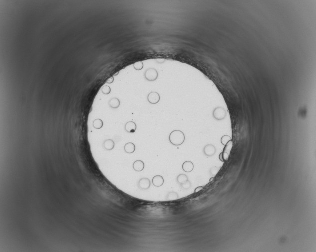 X0000116670464201001251242