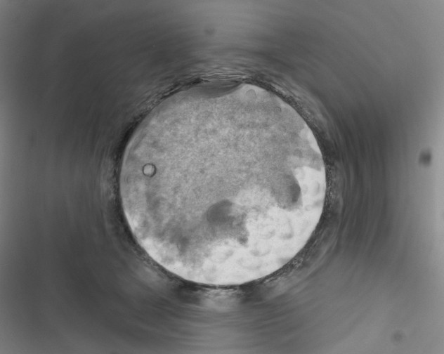X0000116670465201001251242