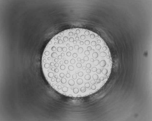 X0000116670466201001251242
