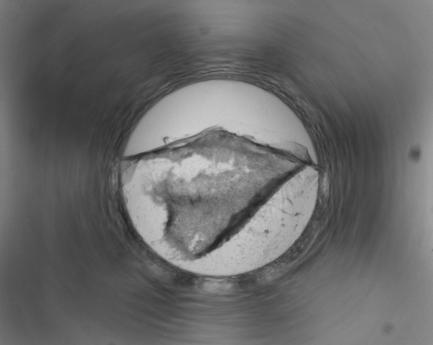 X0000116670471201001251242