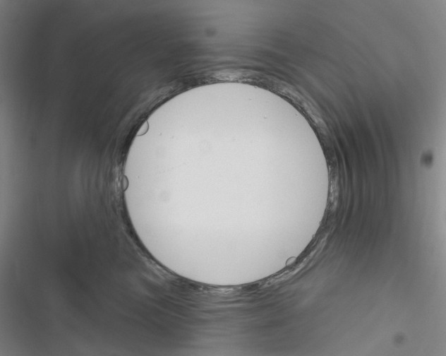 X0000116670473201001251242