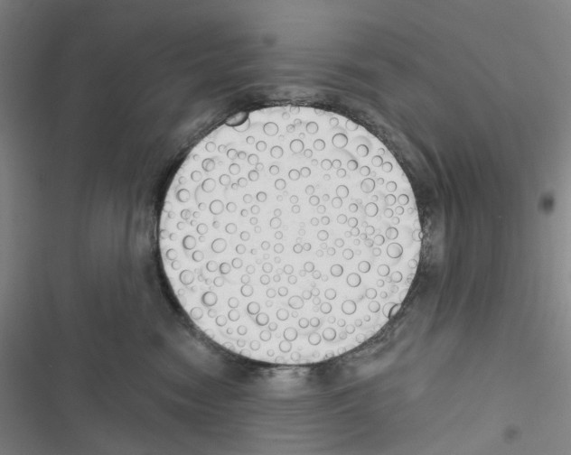 X0000116670474201001251242