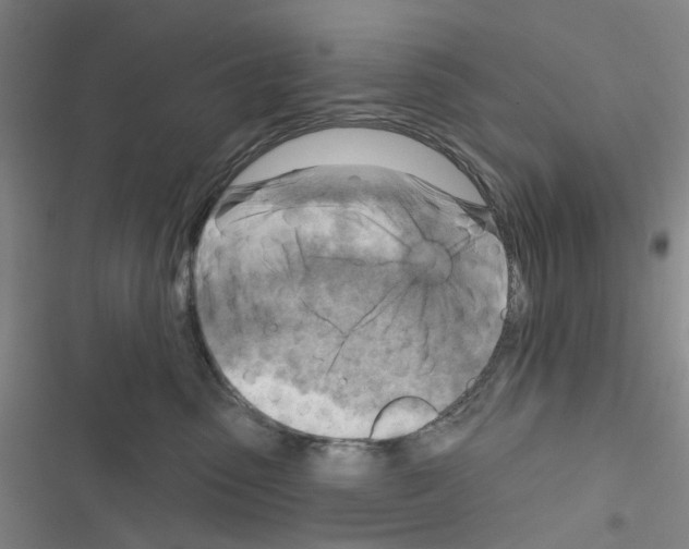 X0000116670475201001251242