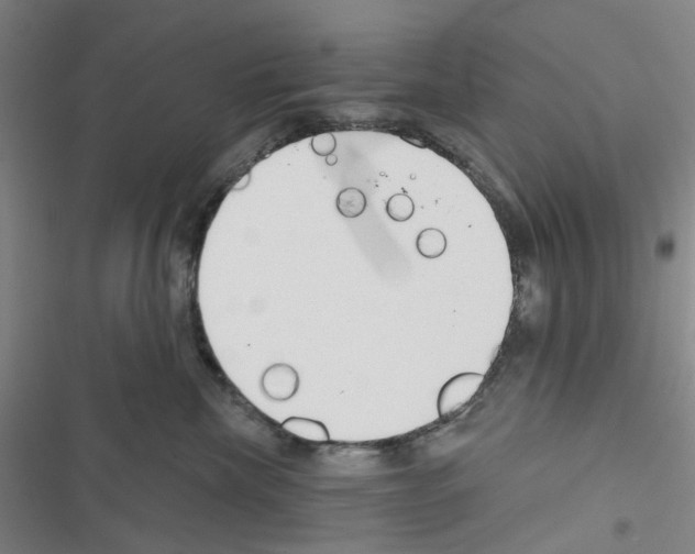 X0000116670476201001251242