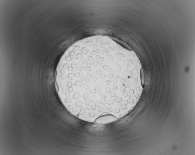X0000116670478201001251243