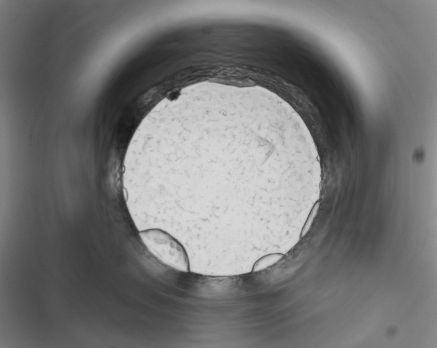 X0000116670479201001251243