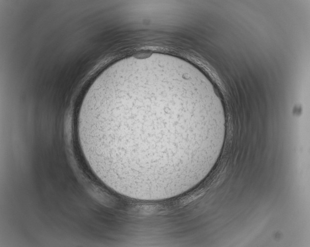 X0000116670482201001251242