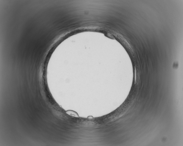 X0000116670483201001251242