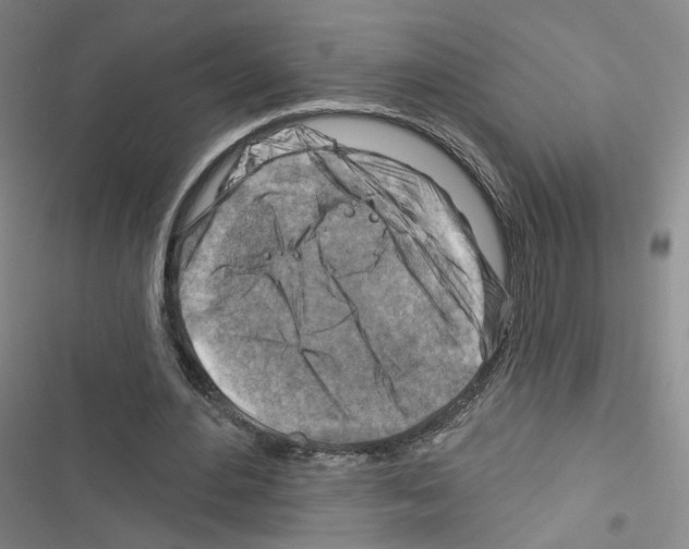 X0000116670484201001251242