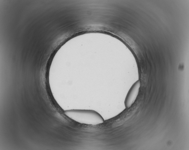 X0000116670485201001251242