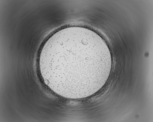 X0000116670487201001251242