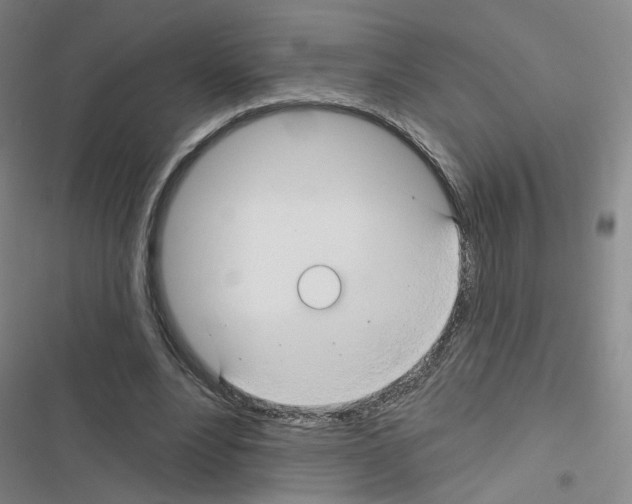 X0000116670488201001251242