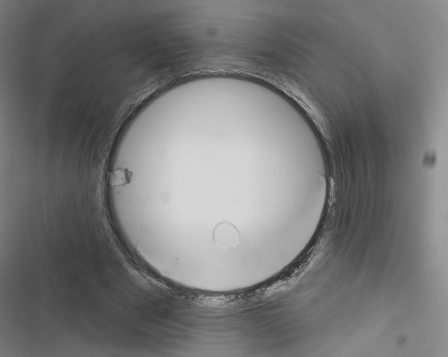 X0000116670489201001251242