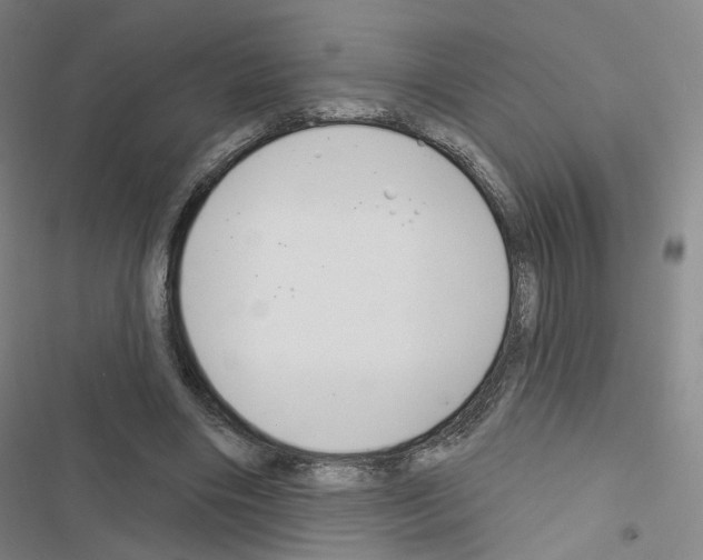 X0000116670490201001251242