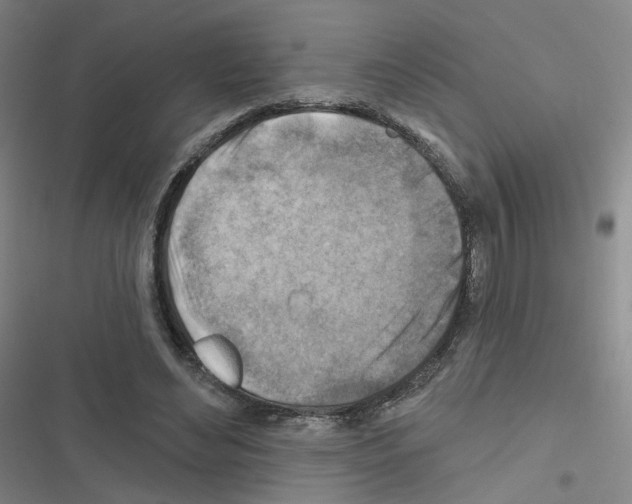 X0000116670492201001251242