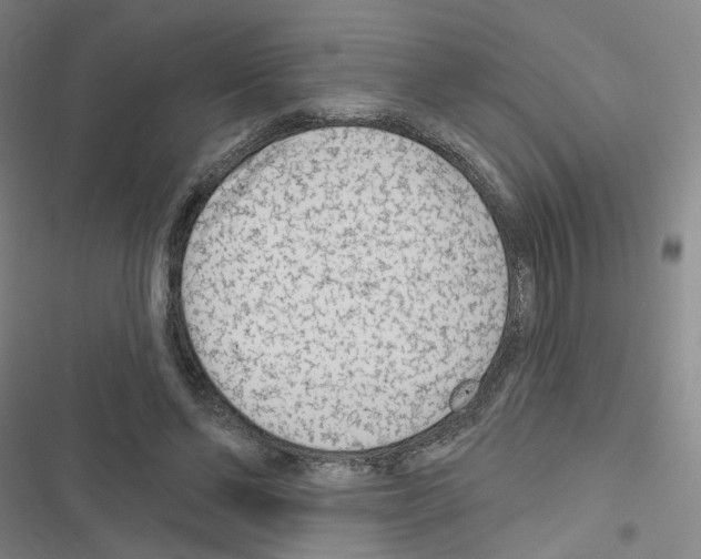 X0000116670494201001251242