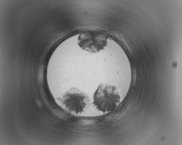 X0000116670495201001251242