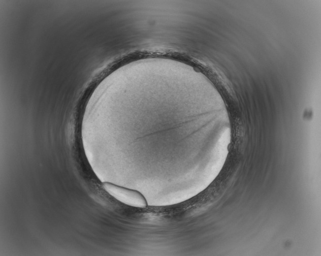 X0000116670496201001251242