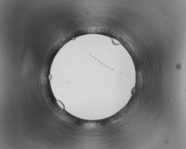 X0000116670499201001251242