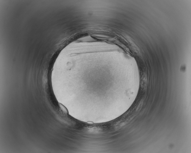 X0000116670500201001251242