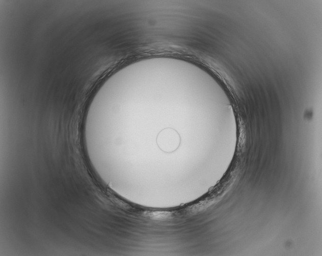 X0000116670501201001251242