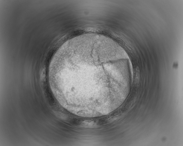 X0000116670502201001251242