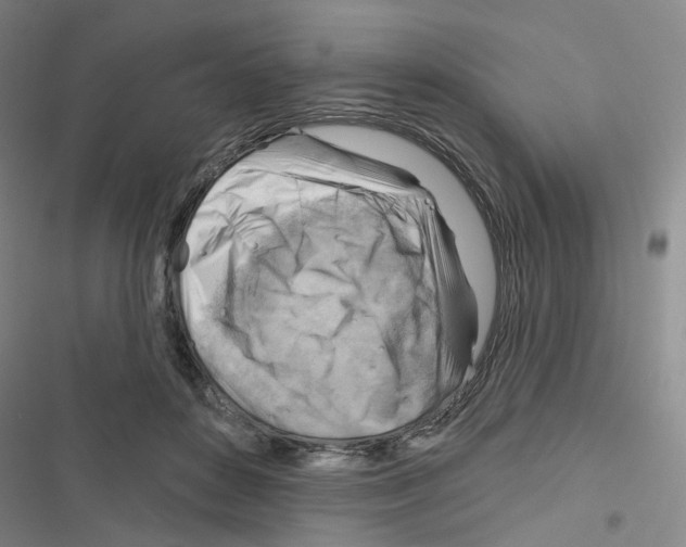 X0000116670504201001251242