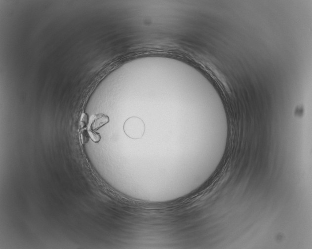 X0000116670505201001251242