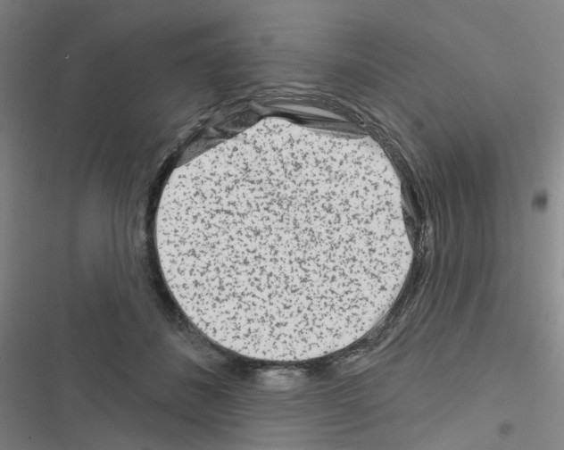 X0000116670508201001251242
