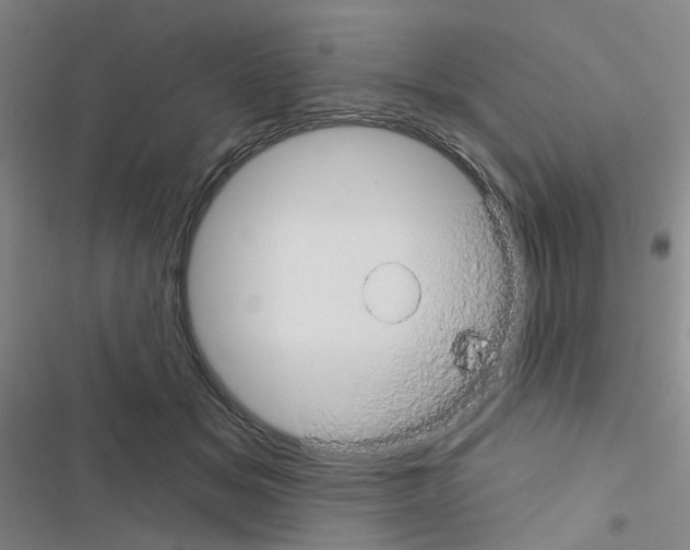 X0000116670509201001251242
