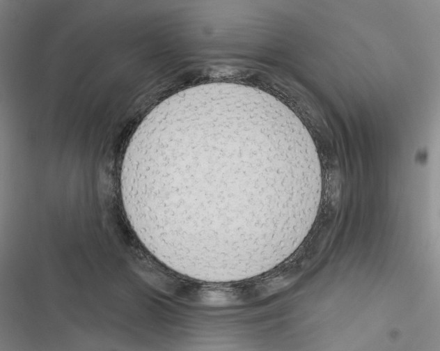 X0000116670510201001251241