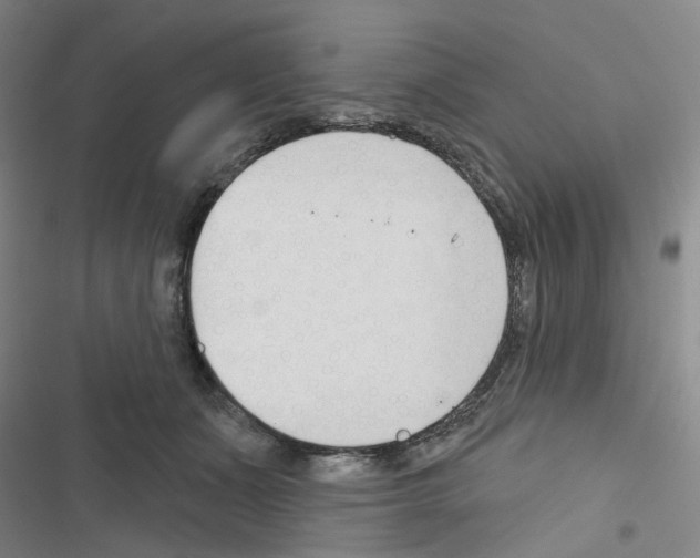 X0000116670511201001251241