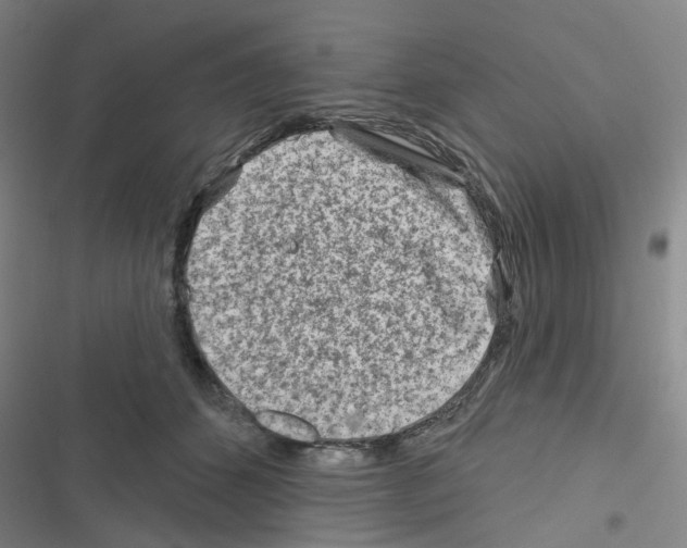 X0000116670512201001251241
