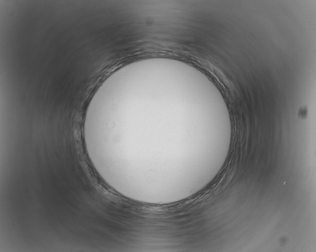 X0000116670513201001251241