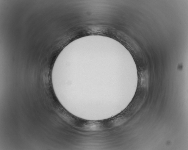 X0000116670514201001251241