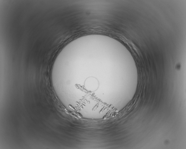X0000116670517201001251241