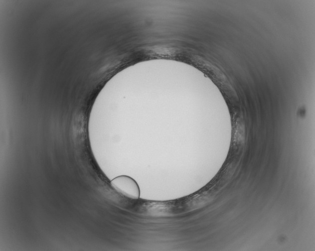X0000116670518201001251241
