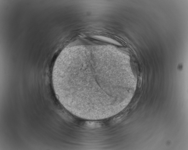 X0000116670520201001251241