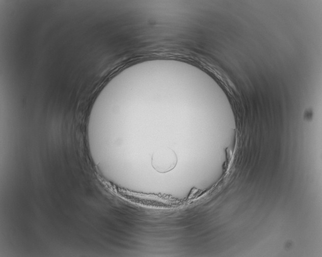 X0000116670521201001251241