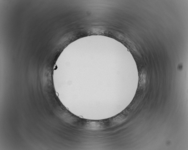 X0000116670522201001251241