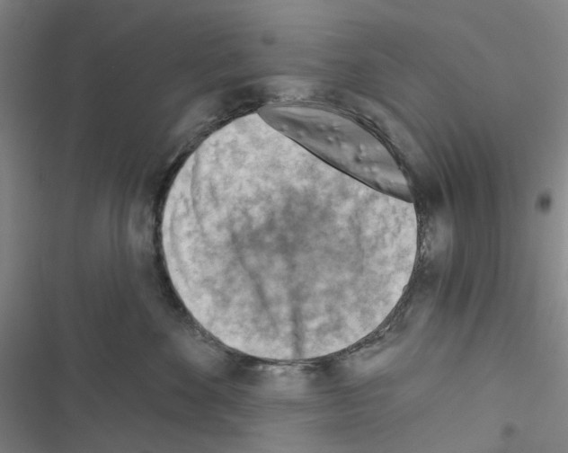 X0000116670524201001251241